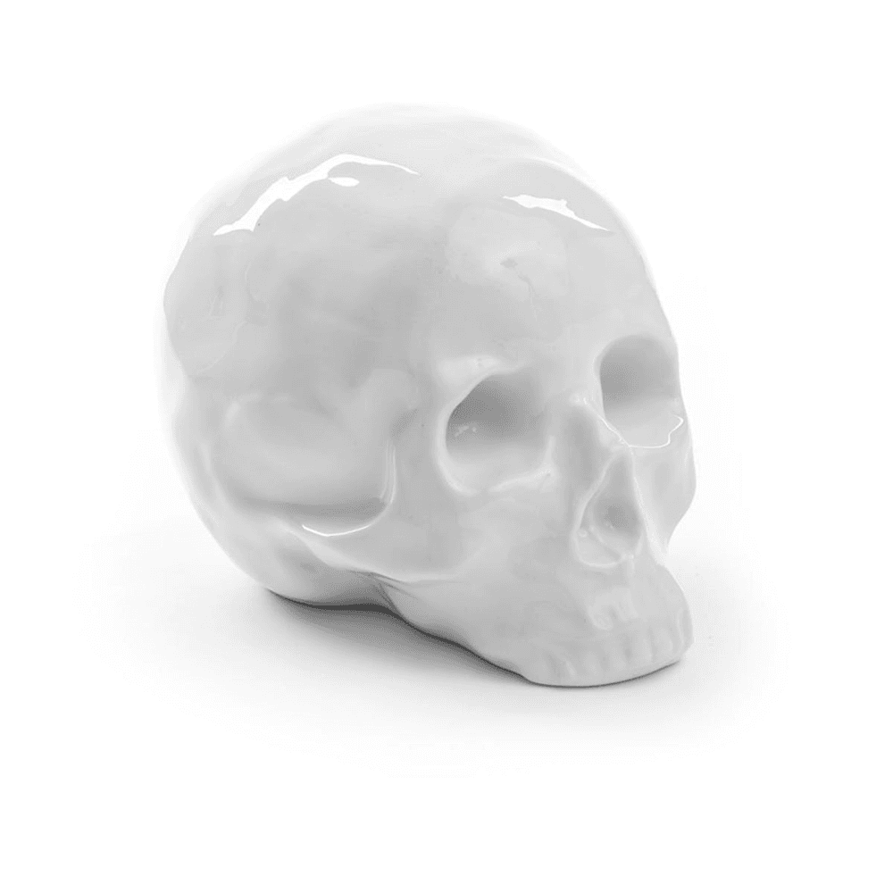 Skull, Memorabilia, White