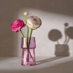 Image showing the Gems Vase, H12cm, Garnet product.