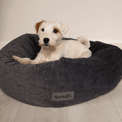 Image showing the Oslo Ring Bed, 85cm, Stone Grey product.
