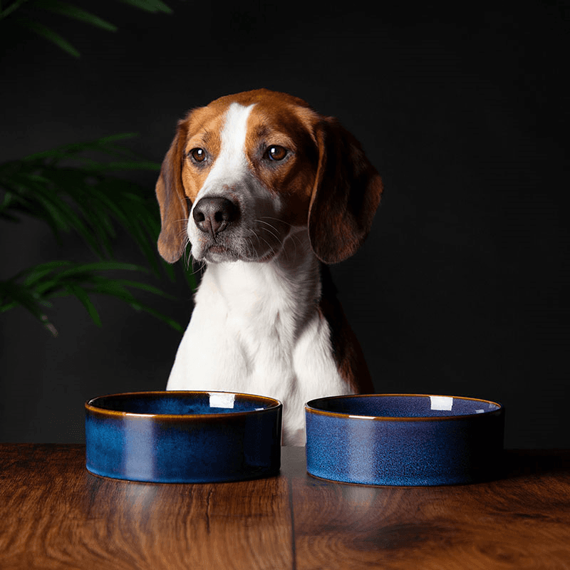 Reactive Glaze Dog Bowl, D15cm, Midnight Blue