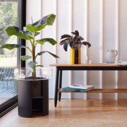 Image showing the Terrazza Planter, H22 x W19cm, Mustard Yellow product.