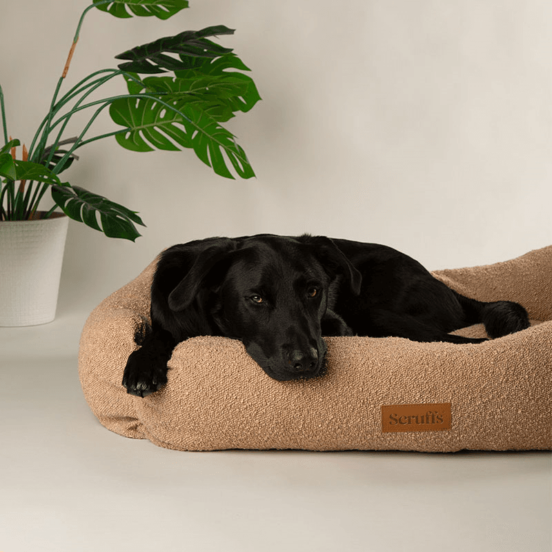 Luxury Boucle Box Bed, 90 x 70cm, Desert Tan