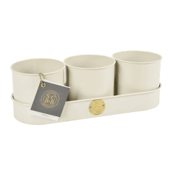 Image showing the Set of 3 Herb Pots, Cream product.