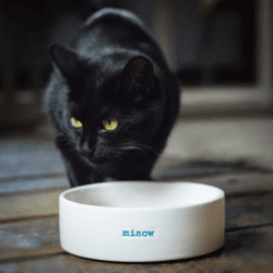 Image showing the Miaow' Cat Bowl, White product.