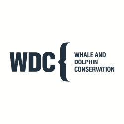 Image showing the A Donation Towards Whale and Dolphin Conservation product.