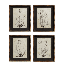 Image showing the Narin Set of 4 Framed Prints, H50cm x W40cm x D3cm, Multi product.