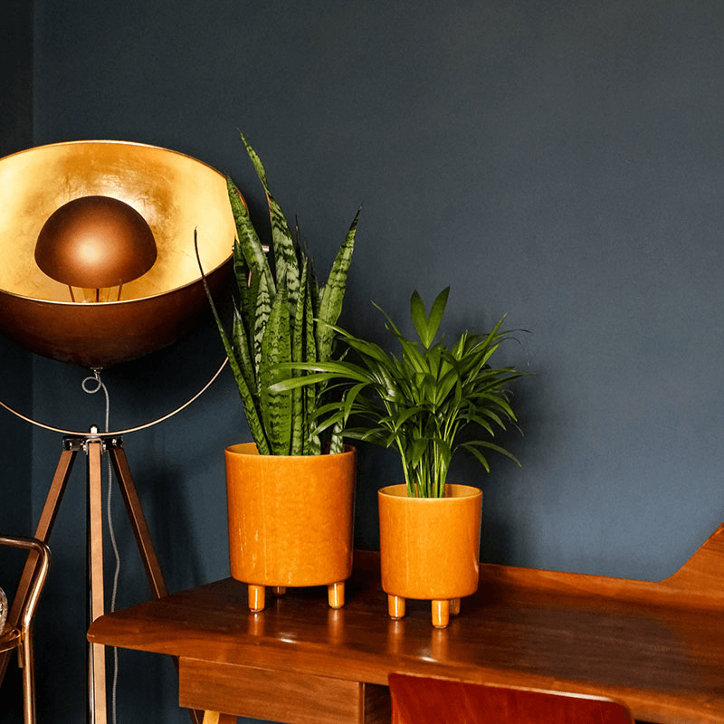 Pisa Planter, H20 x W24 x D24cm, Mustard
