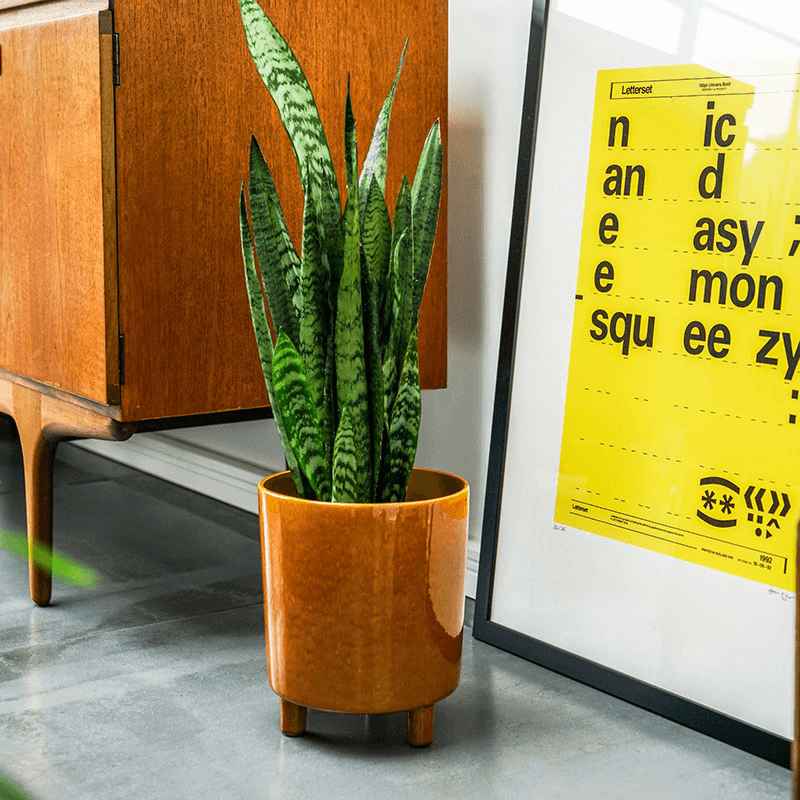 Pisa Planter, H20 x W24 x D24cm, Mustard