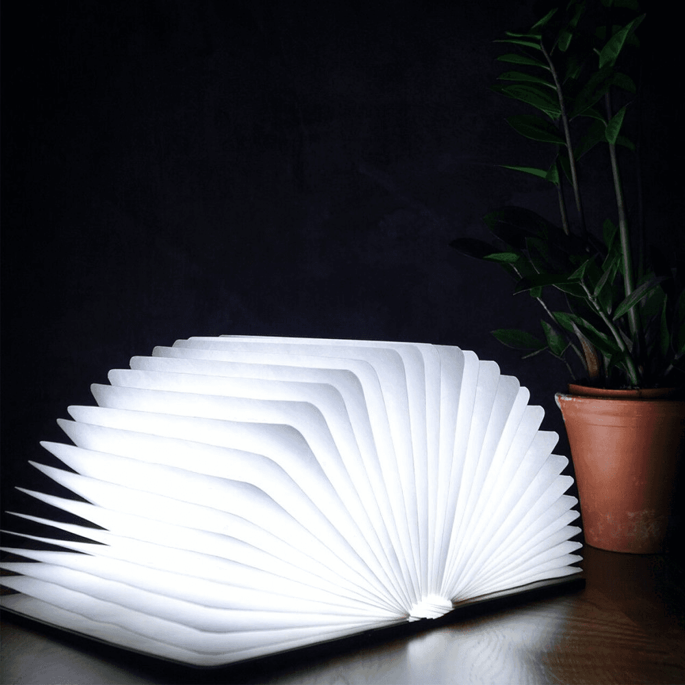 Large smart book light, L21.5 x W17 x H2.5cm, Maple