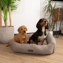 Image showing the Seattle Box Bed, 90 x 70cm, Stone Grey product.