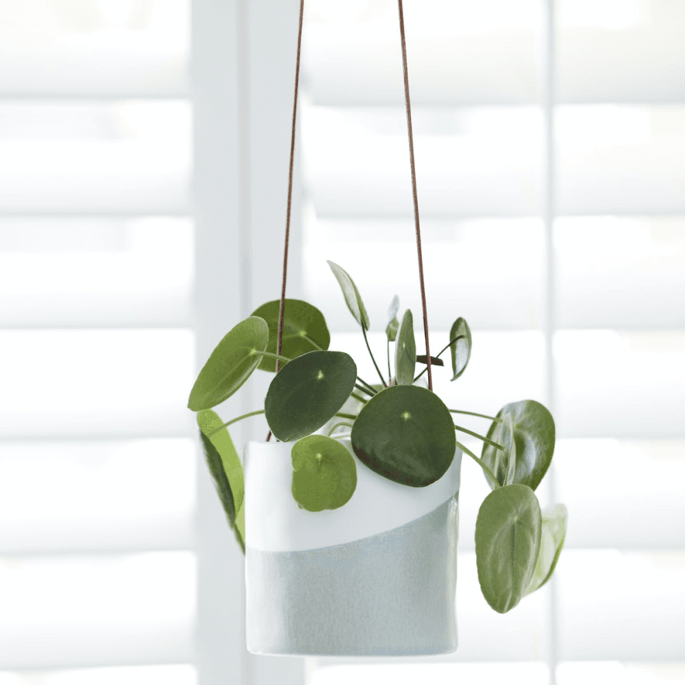 Indoor Hanging Pot, Dip Design, Grey/White