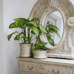 Image showing the Luxe Planter, D24cm, Gold product.