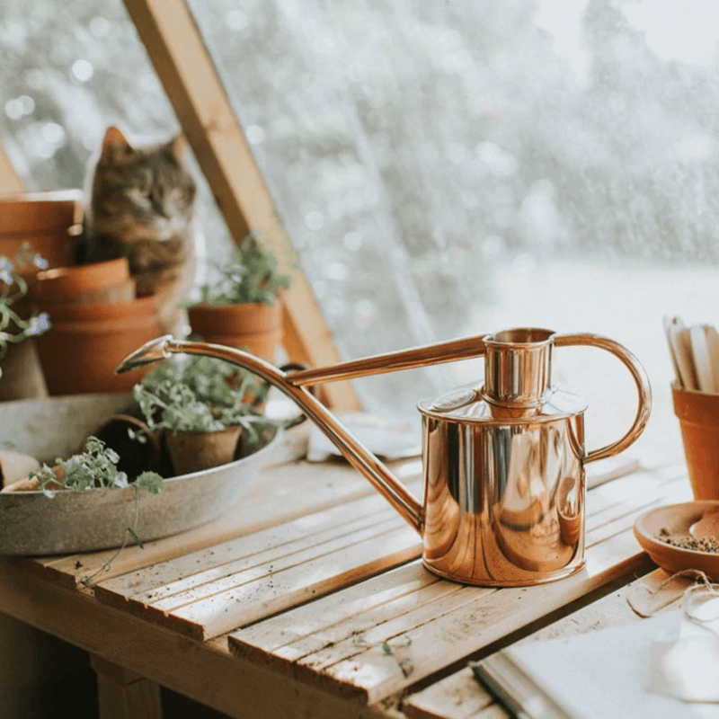 The Rowley Ripple & Smethwick Spritzer Watering Can & Sprayer Gift Set, 1L, Copper/Brass