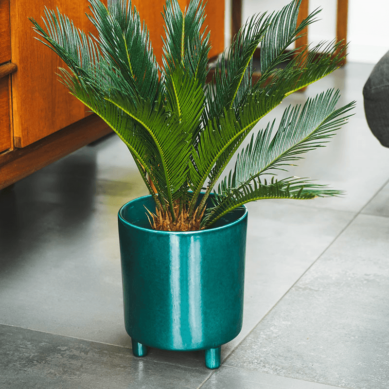 Pisa Planter, H20 x W24 x D24cm, Emerald