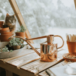 Image showing the The Rowley Ripple Multi Purpose Watering Can, 2 Pint, Copper product.
