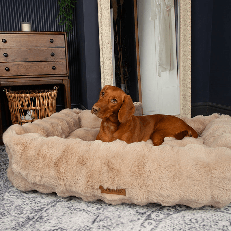 Supersoft Alpine Box Bed, 90 x 70cm, Champagne