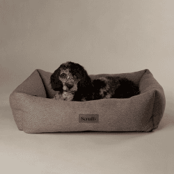 Image showing the Seattle Box Bed, 60 x 50cm, Stone Grey product.