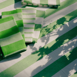 Image showing the Stripe Set of 6 Napkins, W45 x L45cm, Lush Green product.