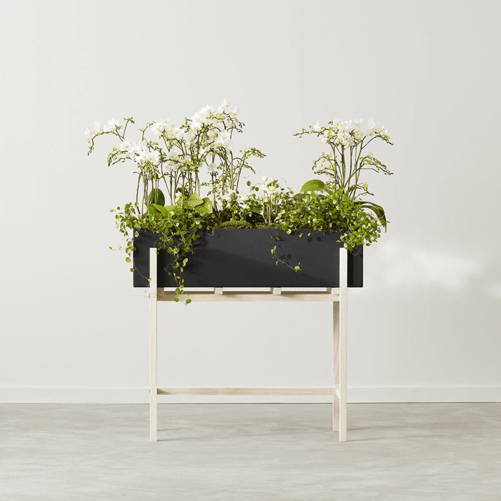 Botanic Stand, Grey
