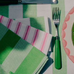 Image showing the Stripe Set of 6 Napkins, W45 x L45cm, Lush Green product.
