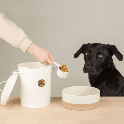 Image showing the Cantina Pet Food Canister & Scoop, 4L, Cream product.
