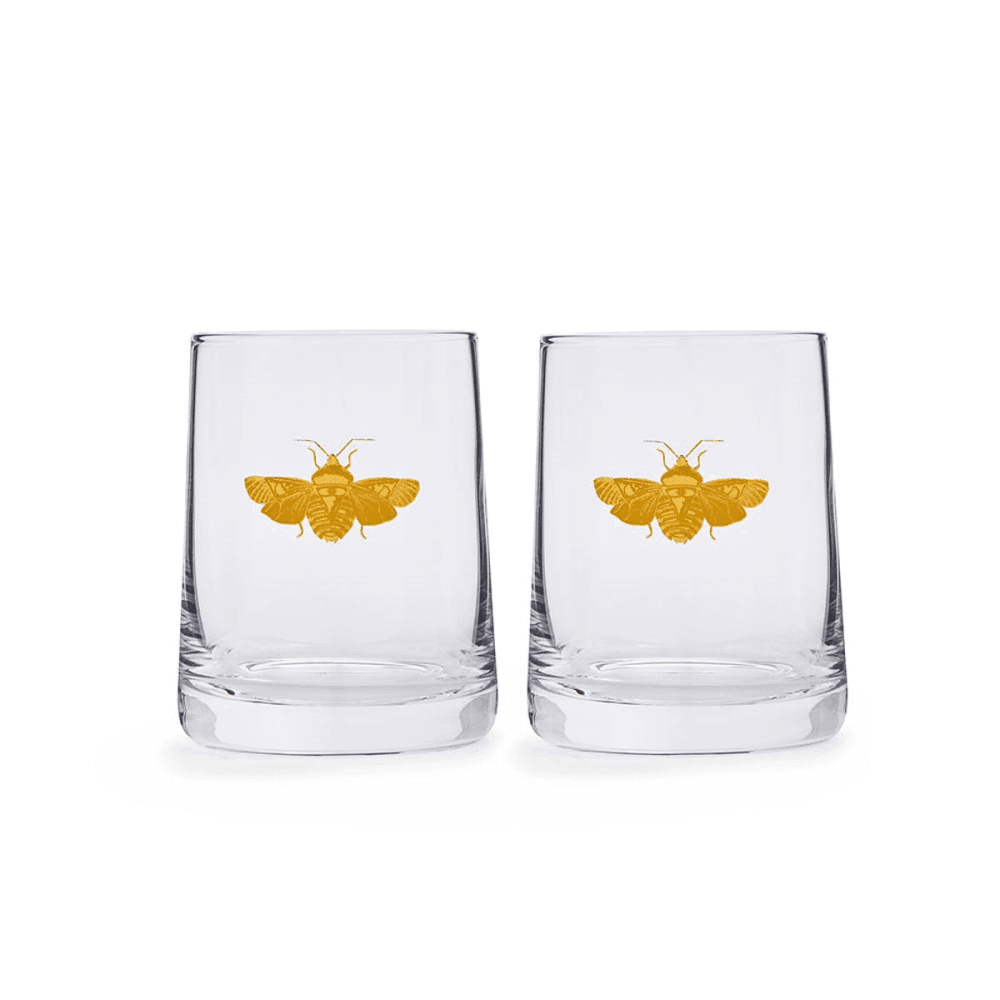 Creatures of Curiosity Pair of Tumblers, Clear