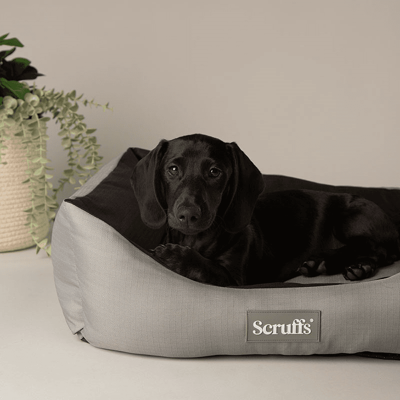 Expedition Dog Bed, 60 x 50cm, Storm Grey