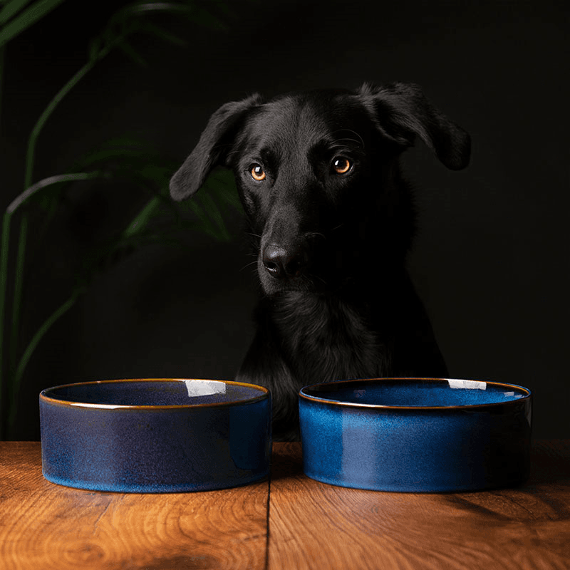 Reactive Glaze Dog Bowl, D19cm, Midnight Blue