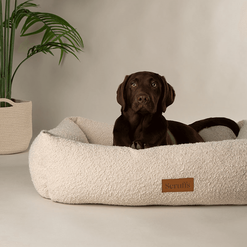 Luxury Boucle Box Bed, 90 x 70cm, Ivory
