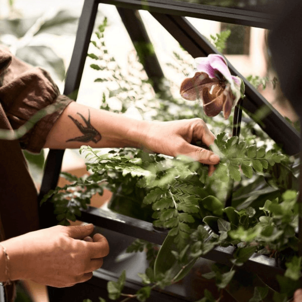 Greenhouse Indoor greenhouse, Black