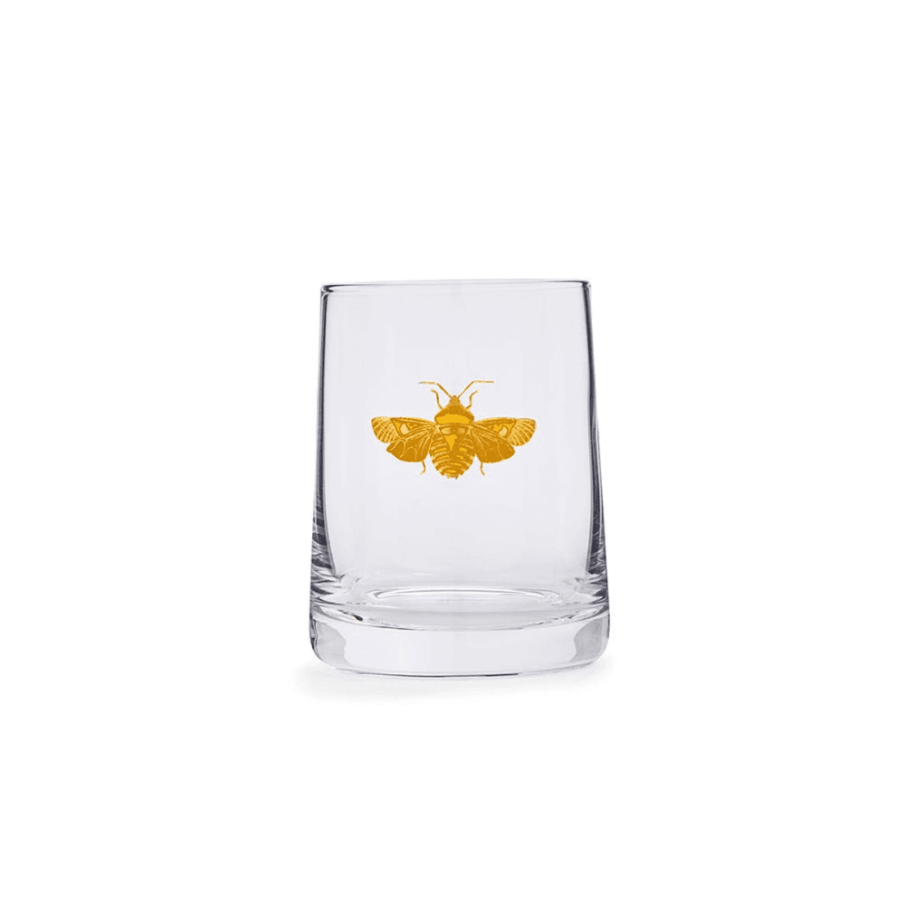Creatures of Curiosity Pair of Tumblers, Clear