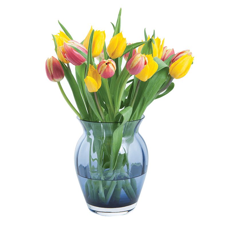 Florabundance Tulip Vase, H18.5cm, Ink