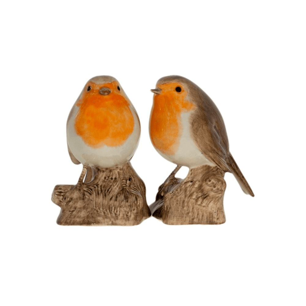 Robin Salt and pepper set, H9cm