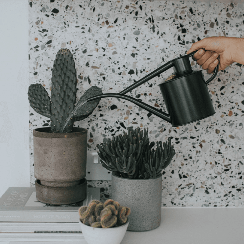 The Fazeley Flow Watering Can, 2 Pint, Graphite