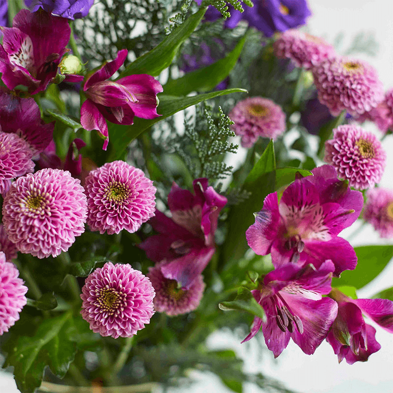 Letterbox 6 Month Flower Subscription