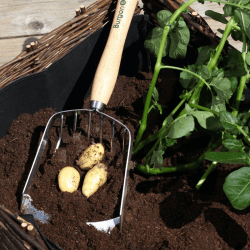 Image showing the Stainless Steel Potato Harvesting Scoop, Silver/Natural product.