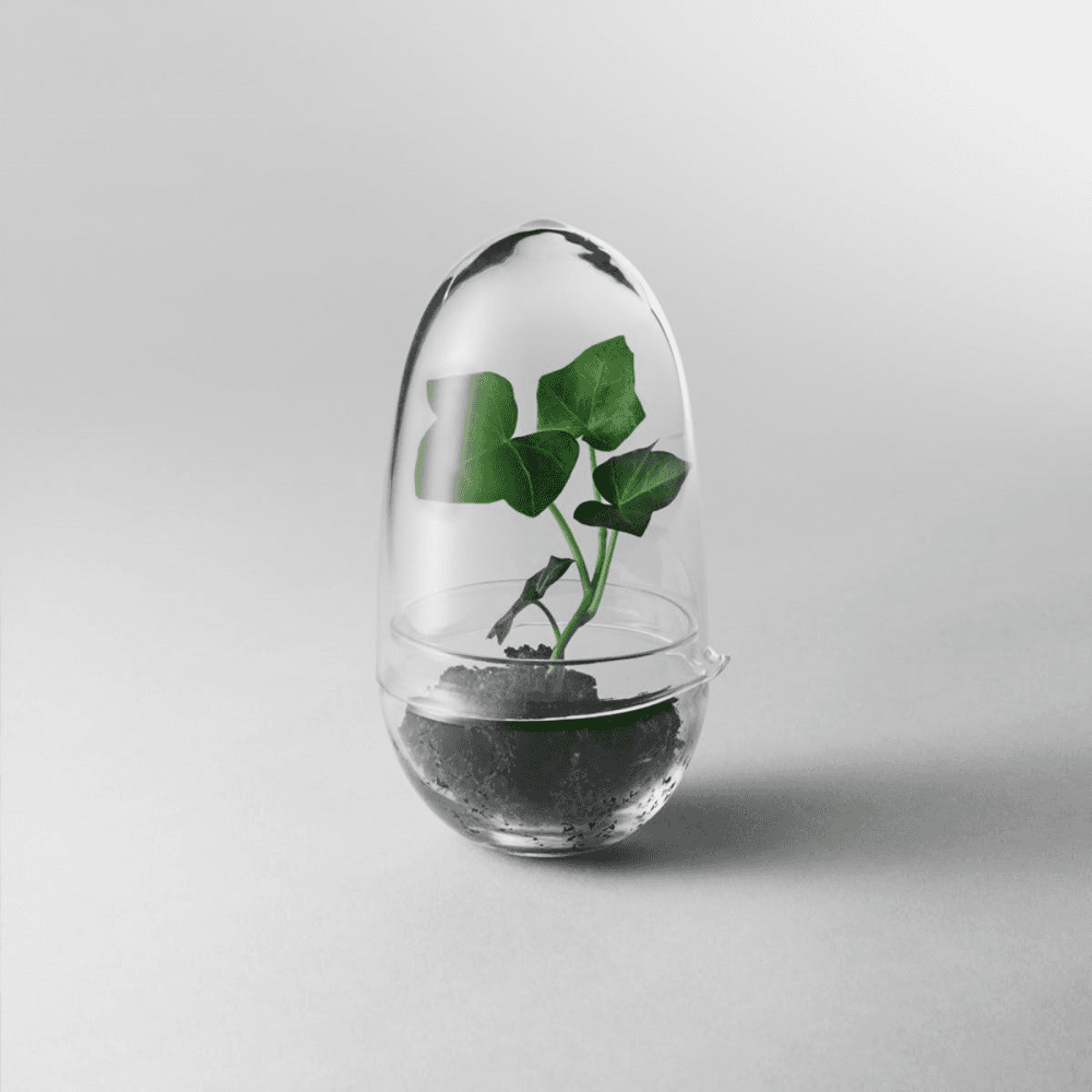 Grow Small greenhouse, D8 x H14cm, Clear