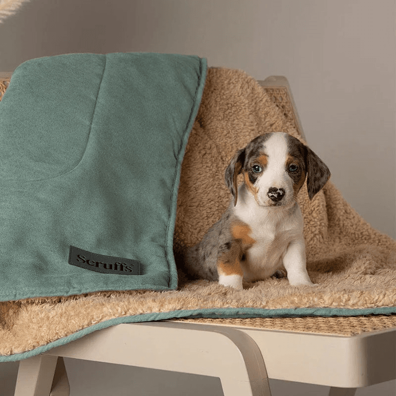 Snuggle Pet Blanket, 110 x 72.5cm, Sage Green