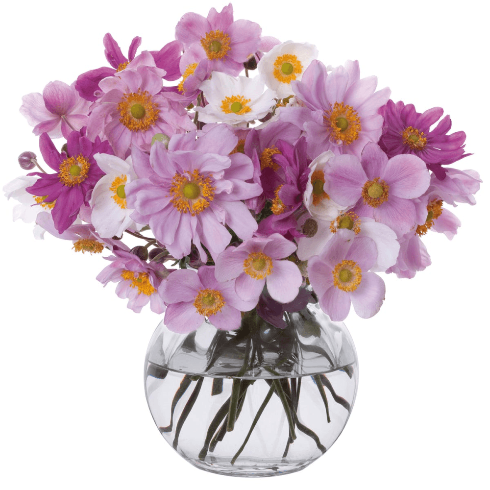 Florabundance Anemone vase, H12.5cm, Clear