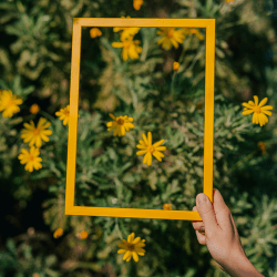 Image showing the Marco Frame, A3, Naples Yellow product.