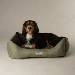 Image showing the Expedition Dog Bed, 75 x 60cm, Khaki Green product.