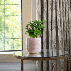 Image showing the Reactive Glaze Planter, D18cm, Morganite product.