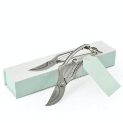 Image showing the Secateurs, Silver product.