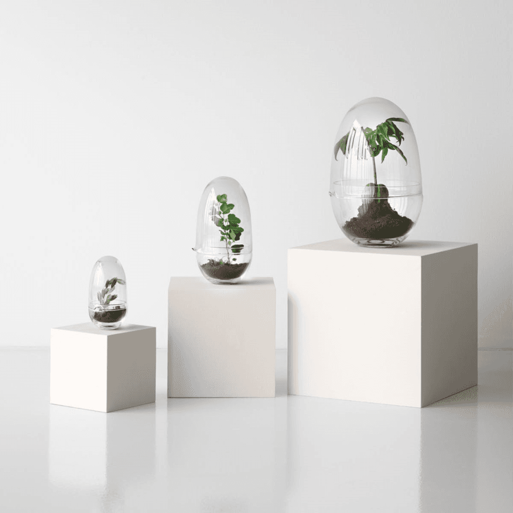 Grow Large greenhouse, D20 x H32cm, Clear