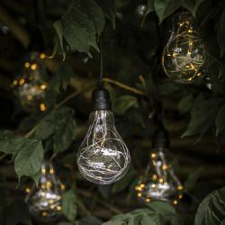 Image showing the Festoon Cluster Lights, Black product.