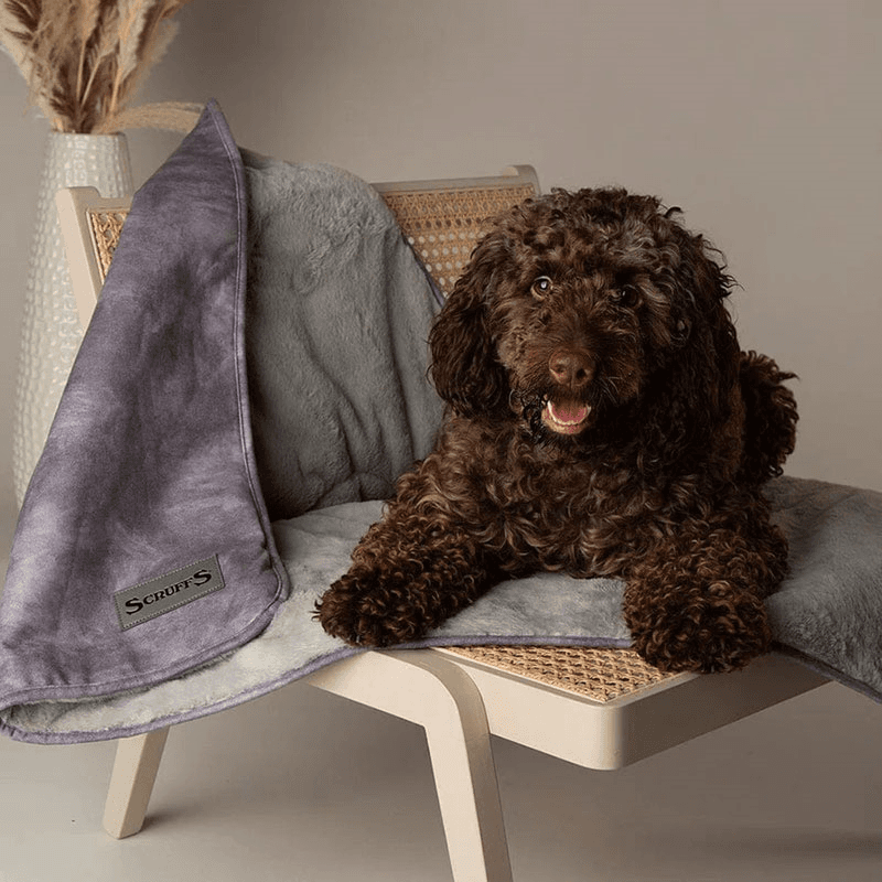 Kensington Pet Blanket, 110 x 75cm, Grey