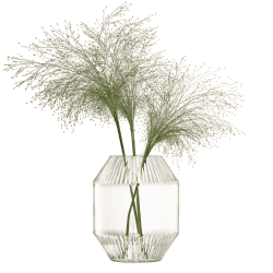 Image showing the Rotunda Vase, H20cm, Clear product.