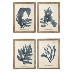 Image showing the Seaweed Set of 4 framed prints, H61 x W83cm product.