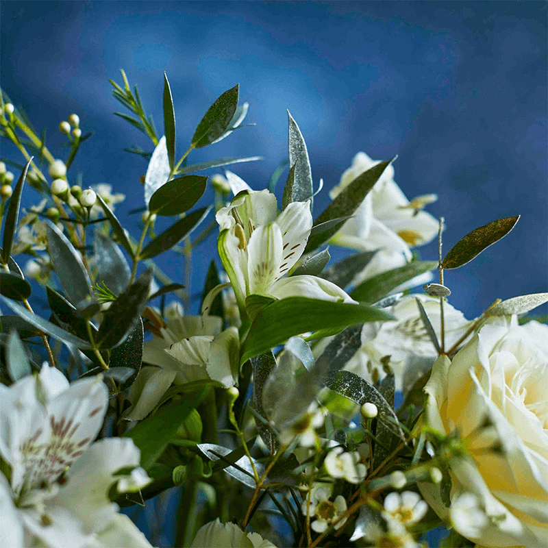 Letterbox 12 Month Flower Subscription