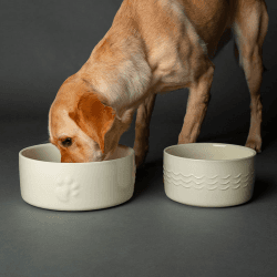 Image showing the Icon Dog Bowl, D25cm, Cream product.